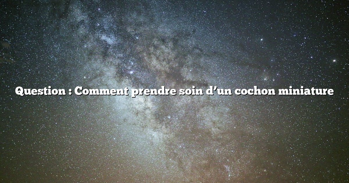 Question : Comment prendre soin d’un cochon miniature